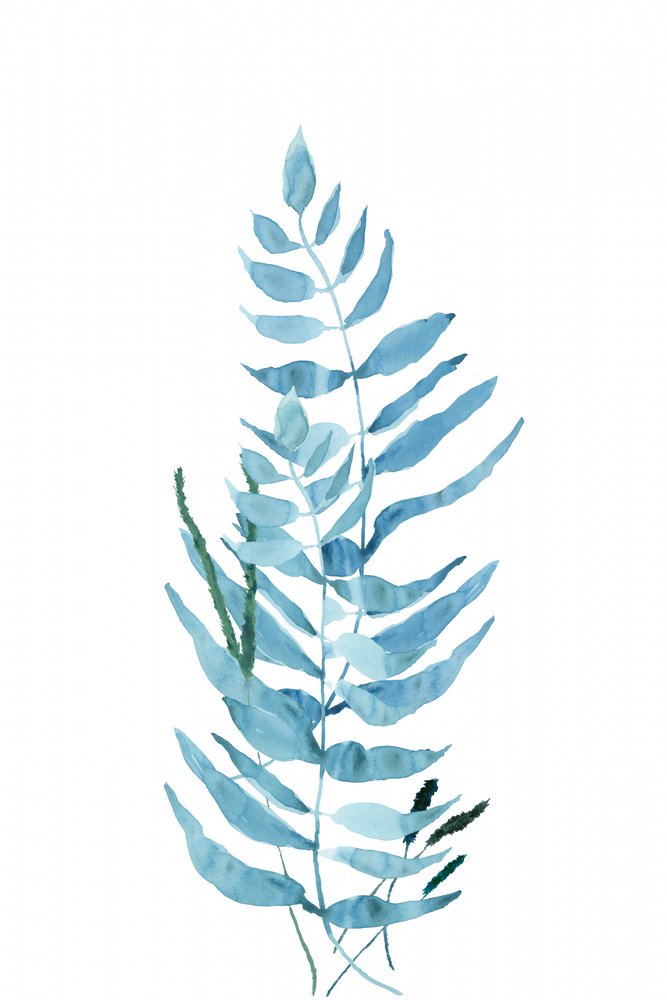 Blaue Aquarellfarn von cartissi