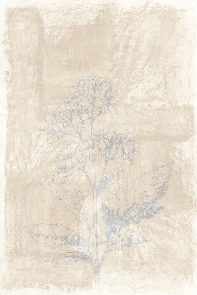 Verblasste Botanische Skizze von cartissi