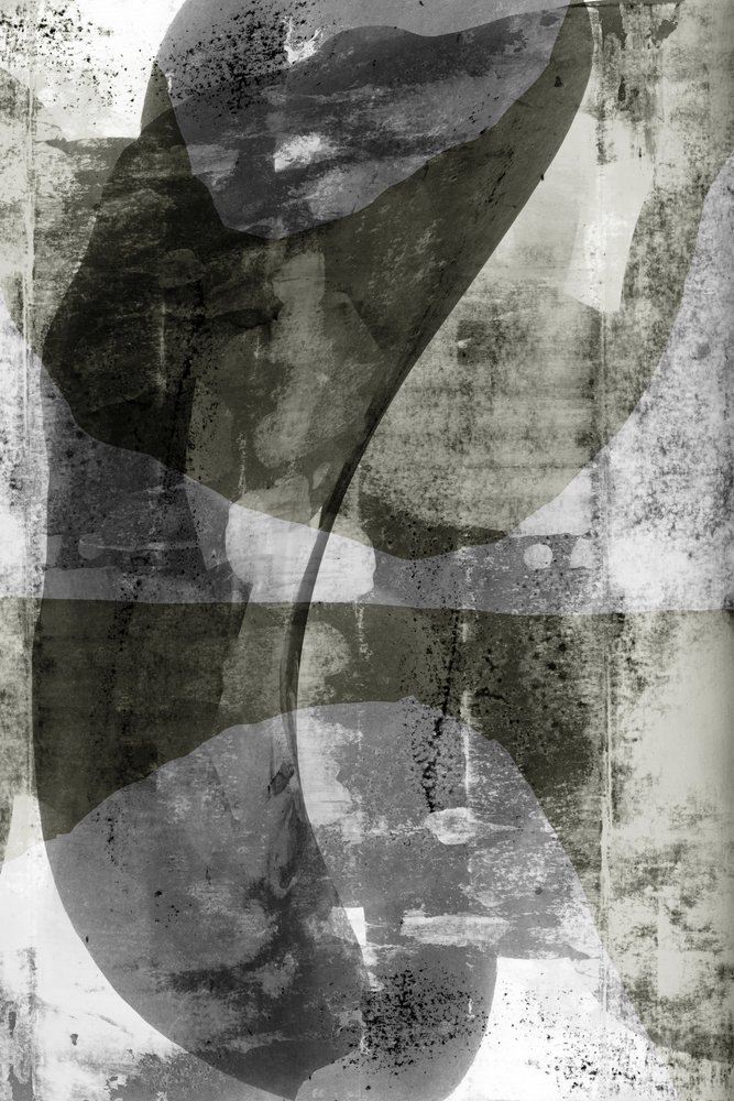 Fließende monochrome Formen von cartissi