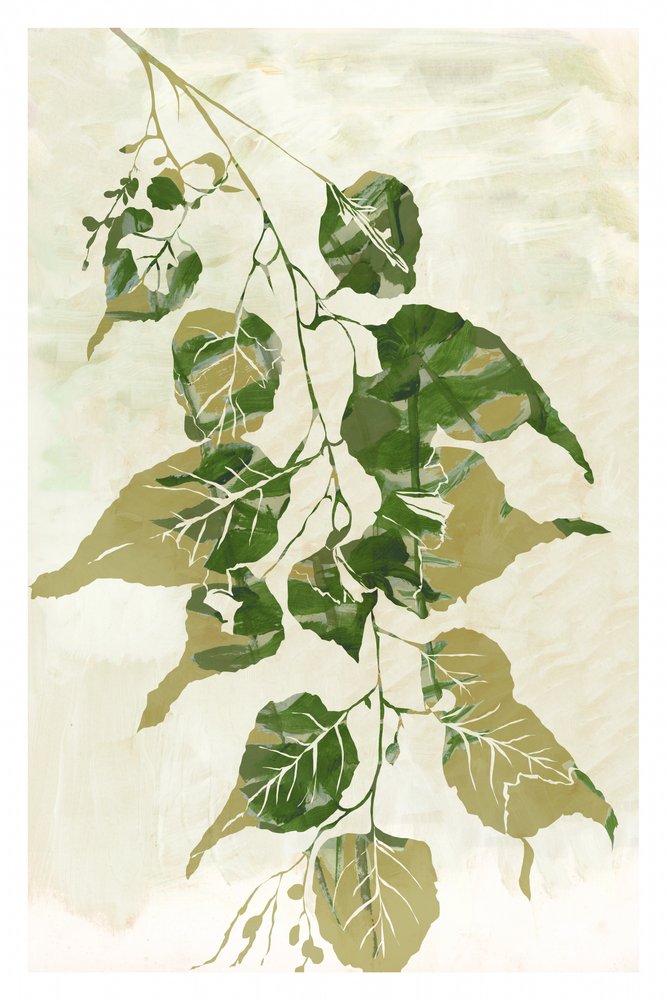 Frische grüne Blätter von cartissi
