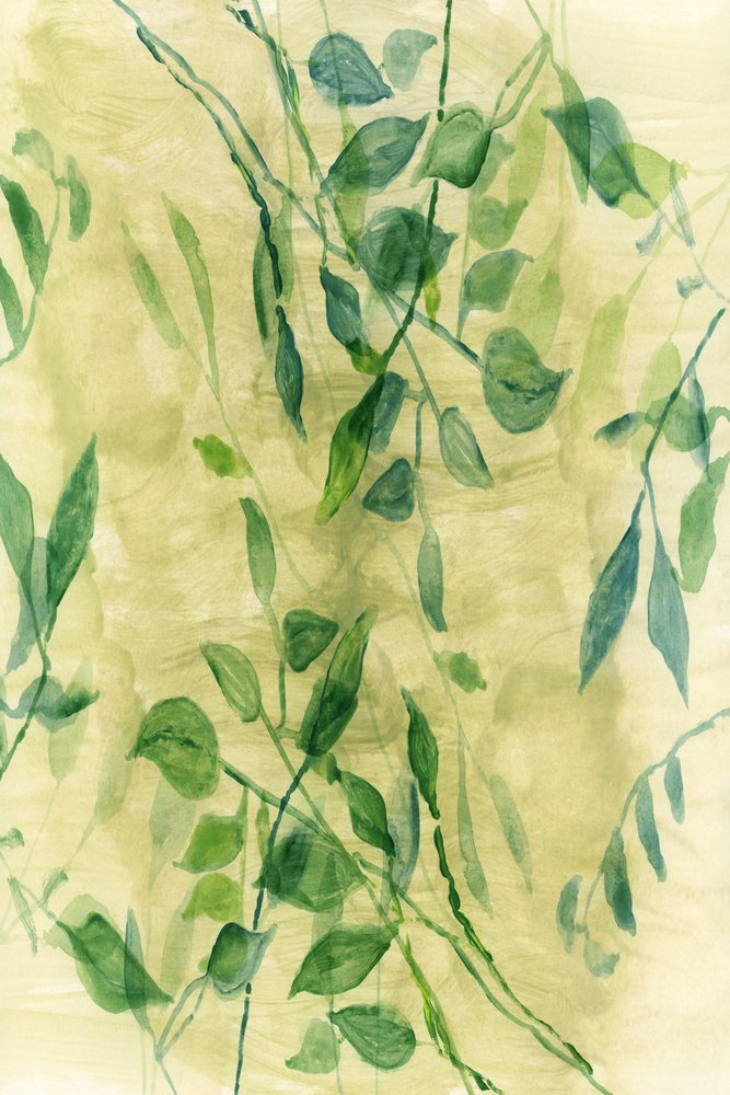 Sanfter botanischer Fluss von cartissi