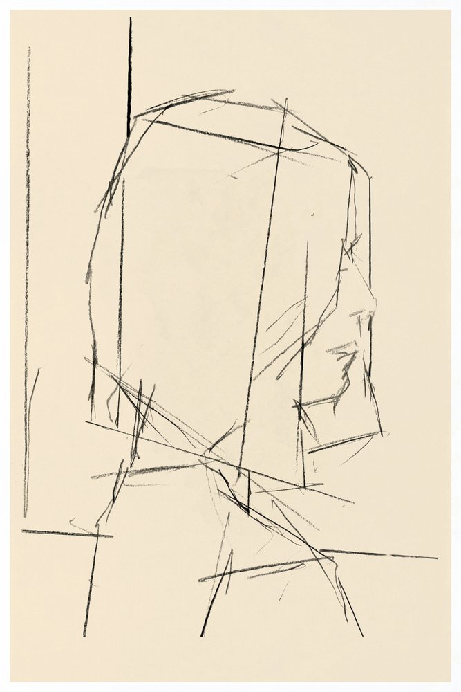 Geometrische Profilstudie von cartissi