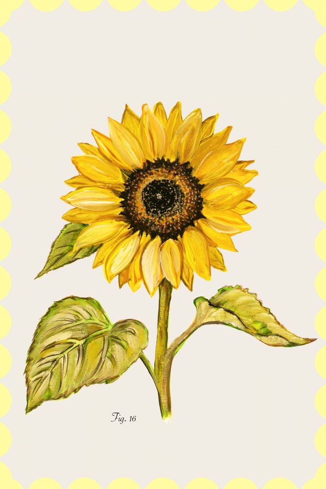 Goldene Sonnenblumen-Botanisch von cartissi