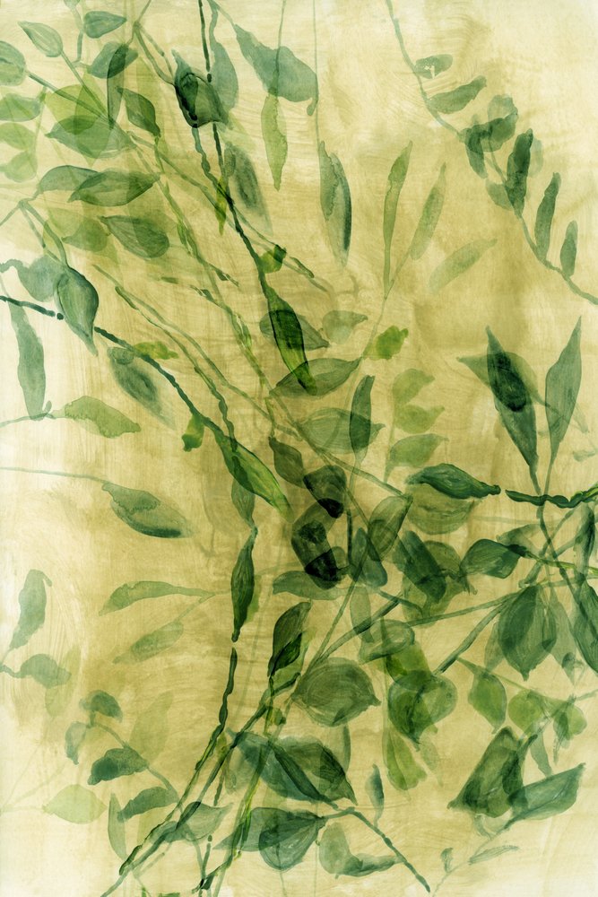 Grüne Aquarellblätter von cartissi