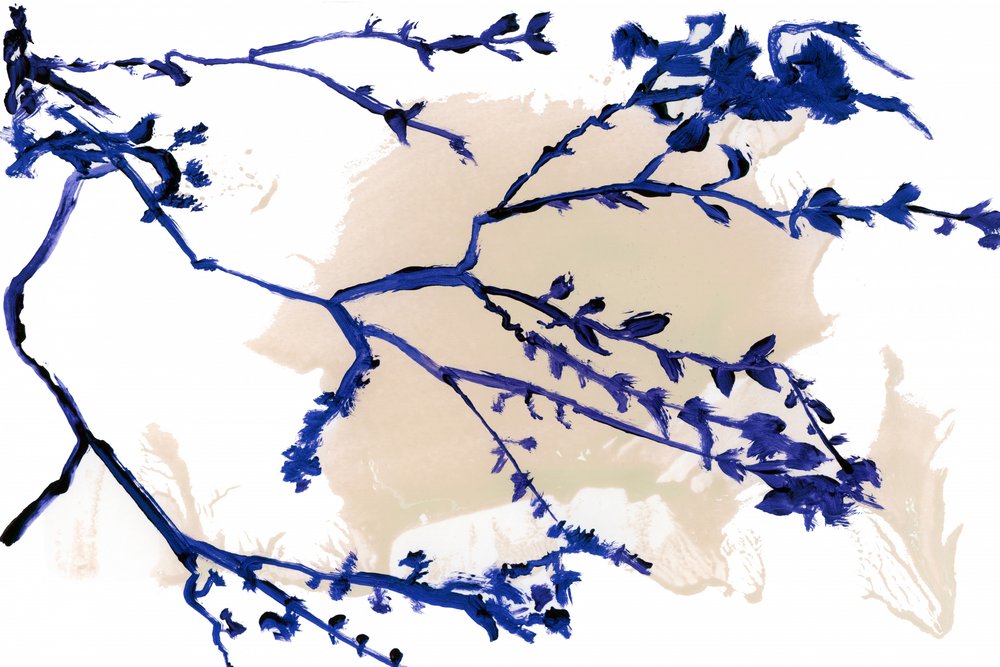 Indigoblaue Frühlingszweige von cartissi