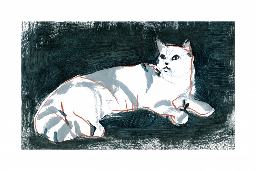 Liegende weiße Katze von cartissi