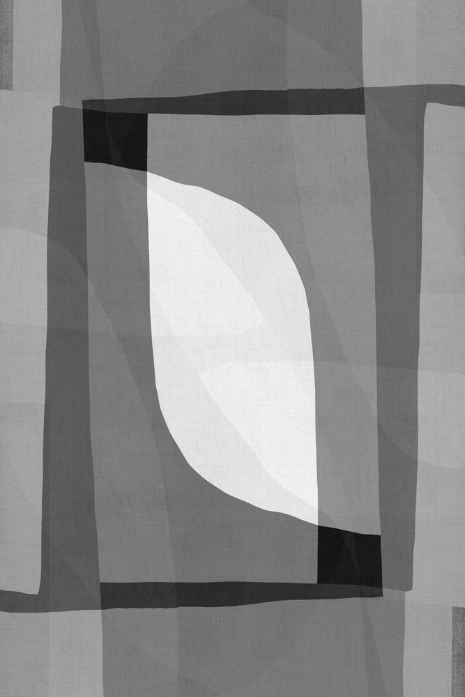 Monochromer geometrischer Fluss von cartissi