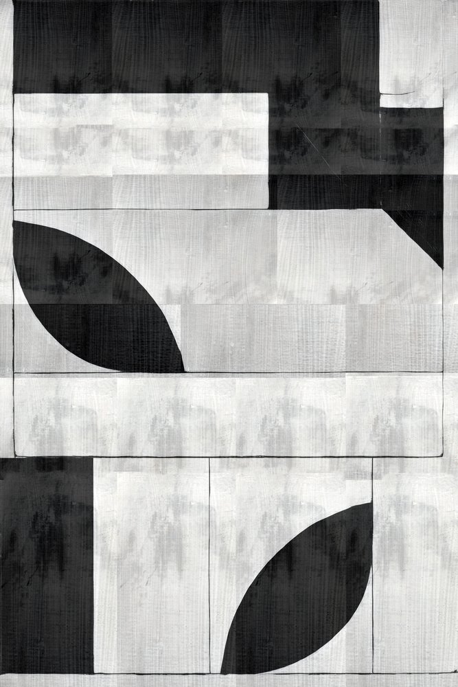 Monochrome organische Formen von cartissi
