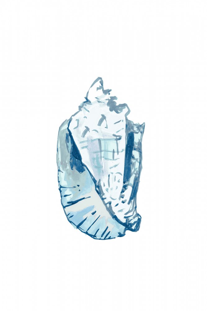 Ozeanblaues Schneckenhaus von cartissi