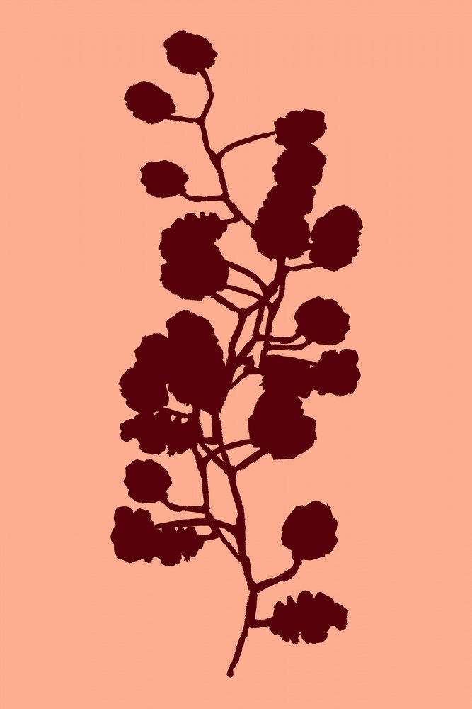 Pfirsichfarbene botanische Silhouette von cartissi