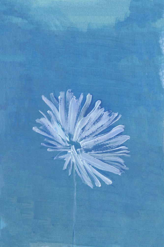 Serene Blaue Blüte von cartissi