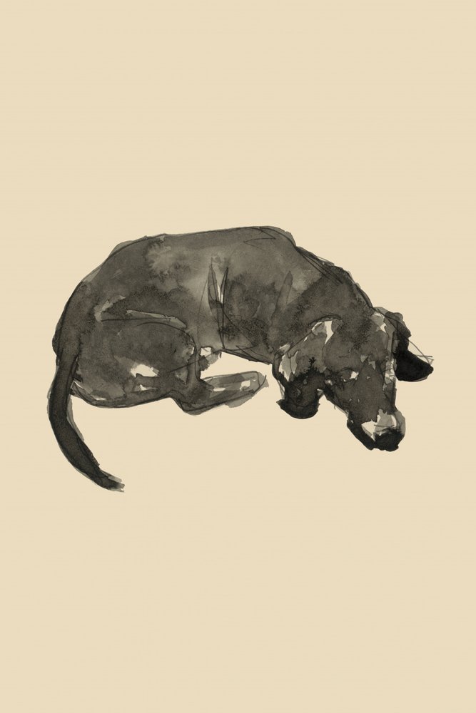 Schlafender schwarzer Hund von cartissi