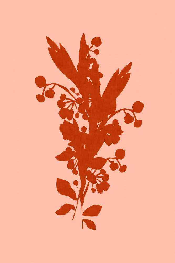 Terrakotta-Blumensilhouette von cartissi