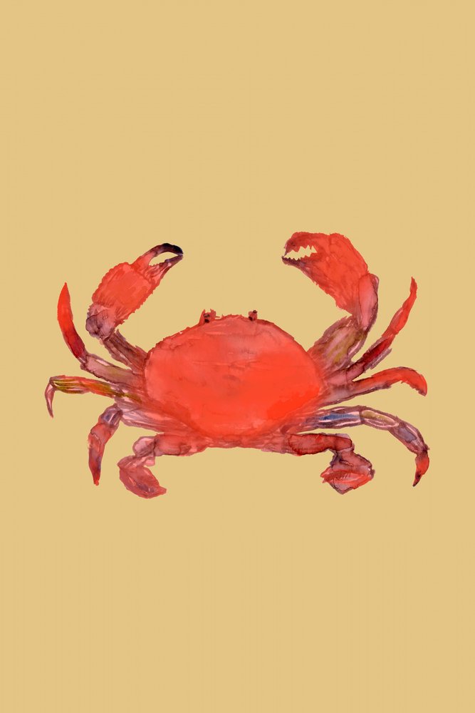 Lebendiger Roter Krebs von cartissi