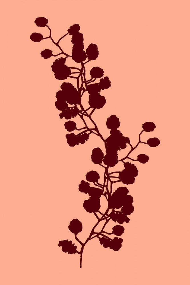 Warme botanische Silhouette von cartissi