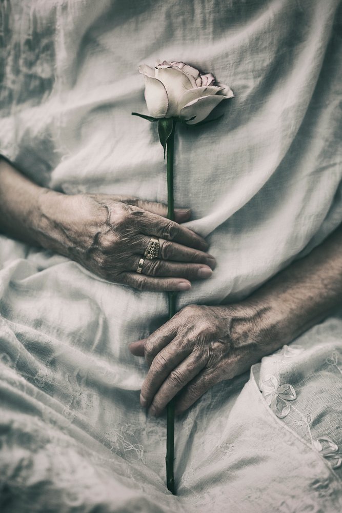 Zarte Hände halten Rose von nima.zadshir