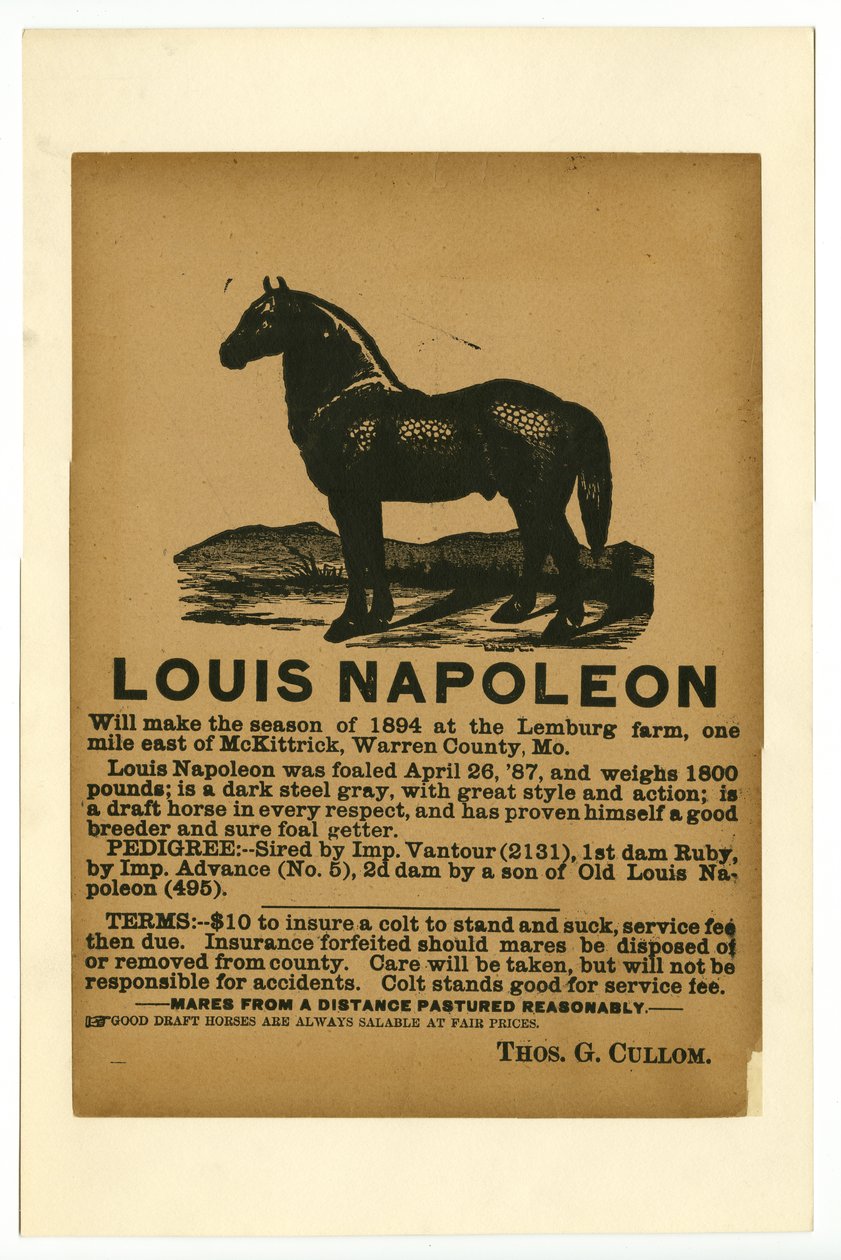 Anzeige für Zugpferd Louis Napoleon, 1894 von Unknown