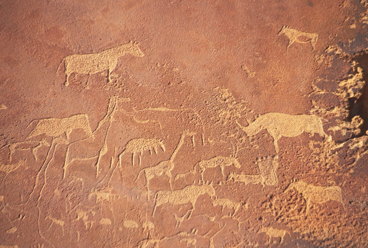 Twyfelfontein, südlich von Khorixas, hat eine der umfangreichsten Ansammlungen prähistorischer Felsmalereien in Namibia, gemalt von den Damara vor 5-6.000 Jahren. Überwiegend dargestellt sind Löwen von Unknown