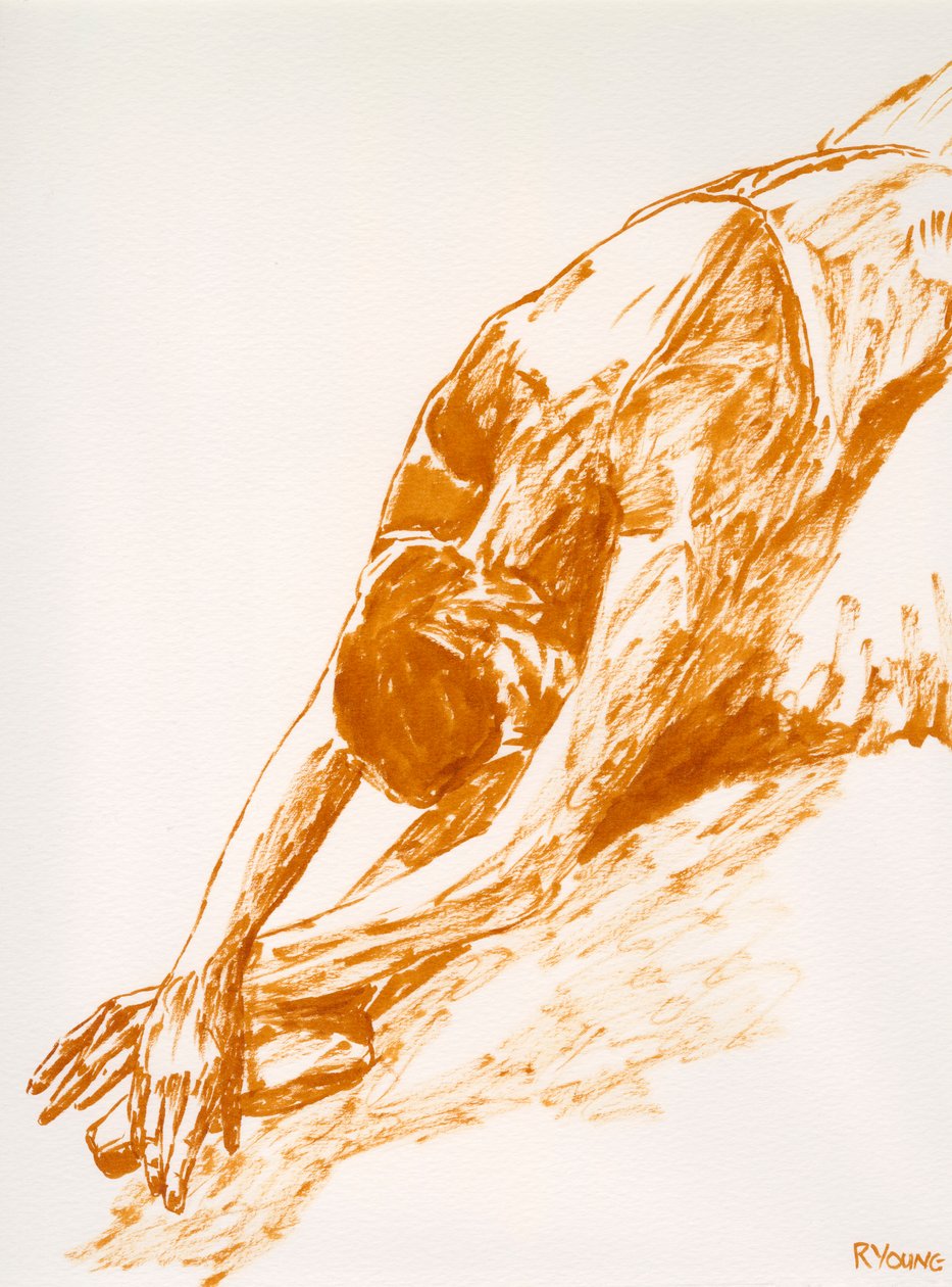 Sterbender Schwan - Studie von Richard Young