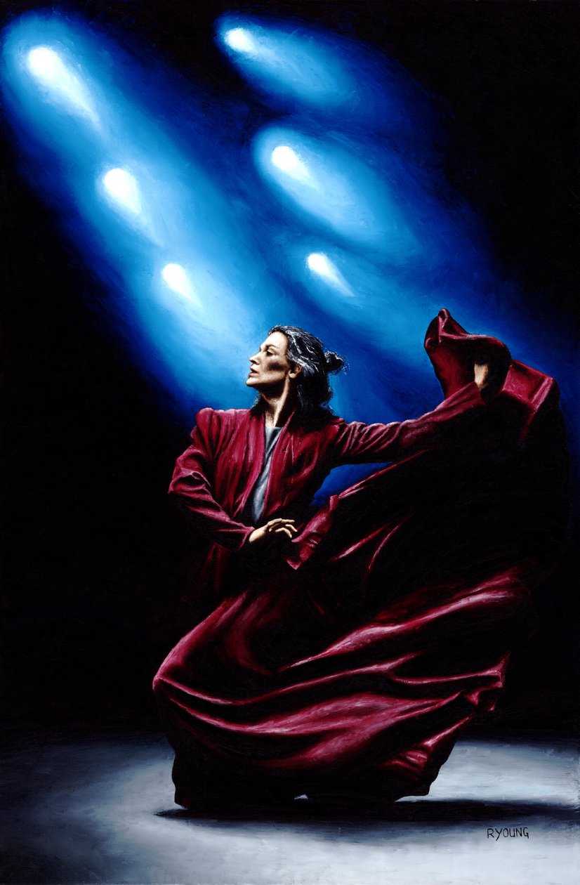 Flamenco Performance von Richard Young
