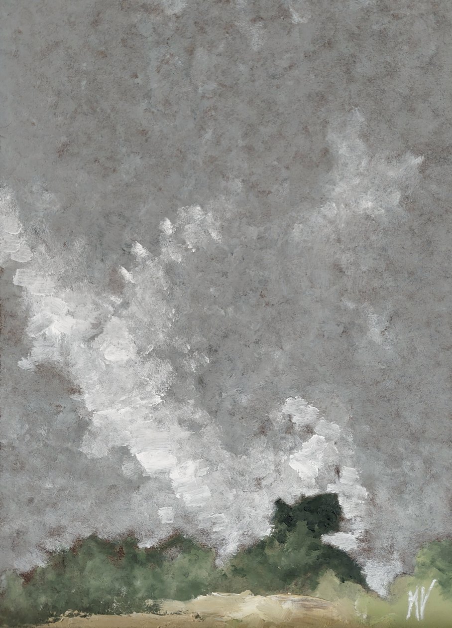 Hecke und Wolken von M. Vet