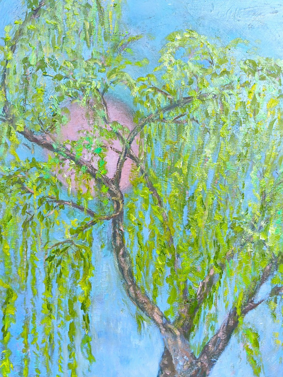 Die Weide, die nicht lacht von Elzbieta Goszczycka