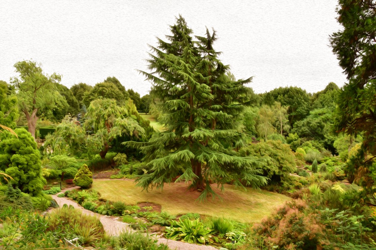 Natur Landschaft von Albert Mansour