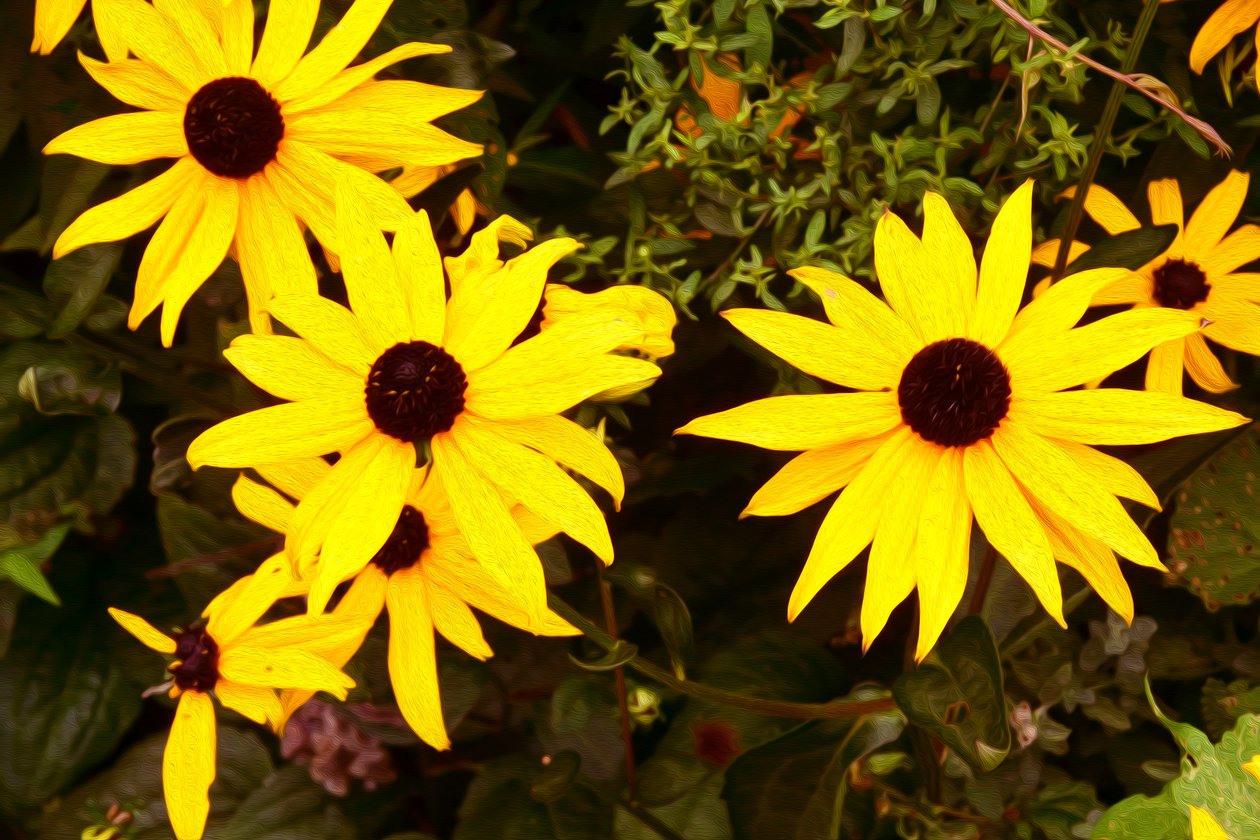 Blumenfeinmalerei im Ölmalstil von Albert Mansour