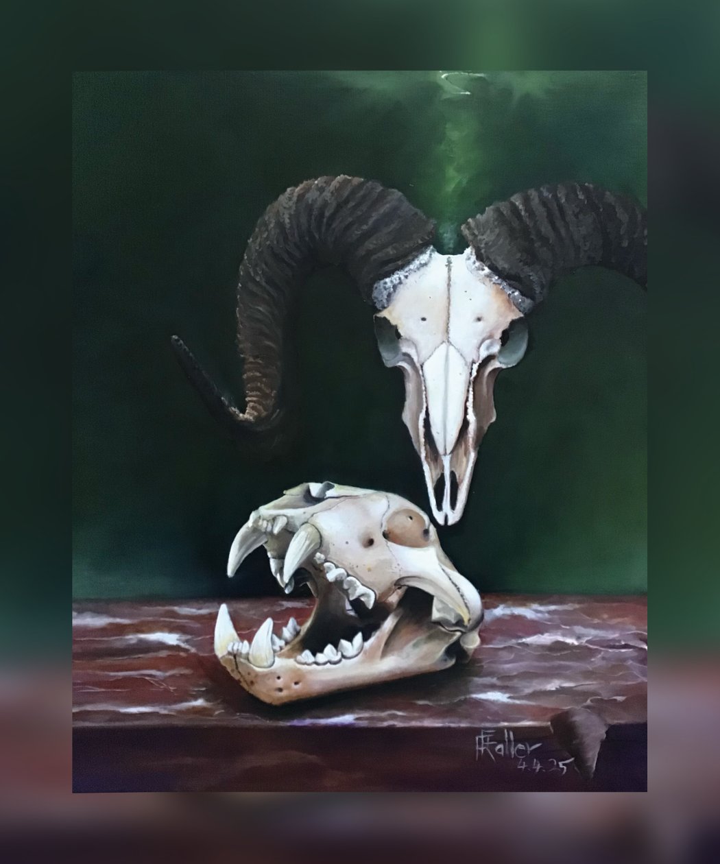 Memento Mori (Studie von Tierschädeln) von Faller Rüdiger - Tician