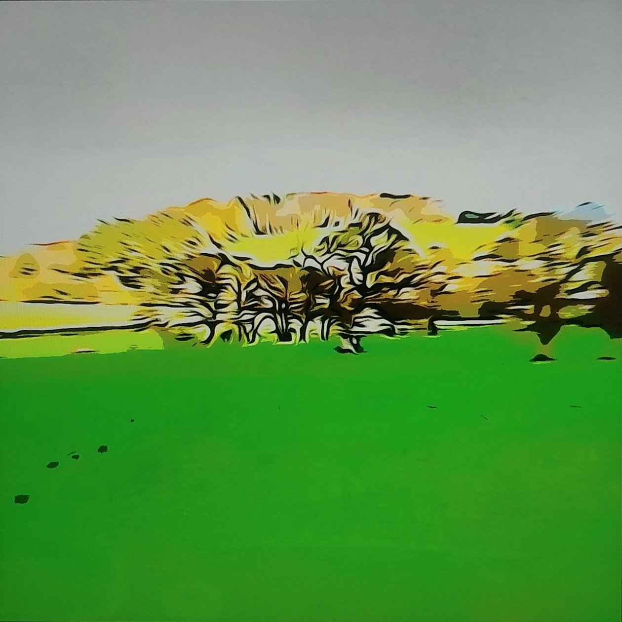 Digitale Landschaft 24 von M. Vet