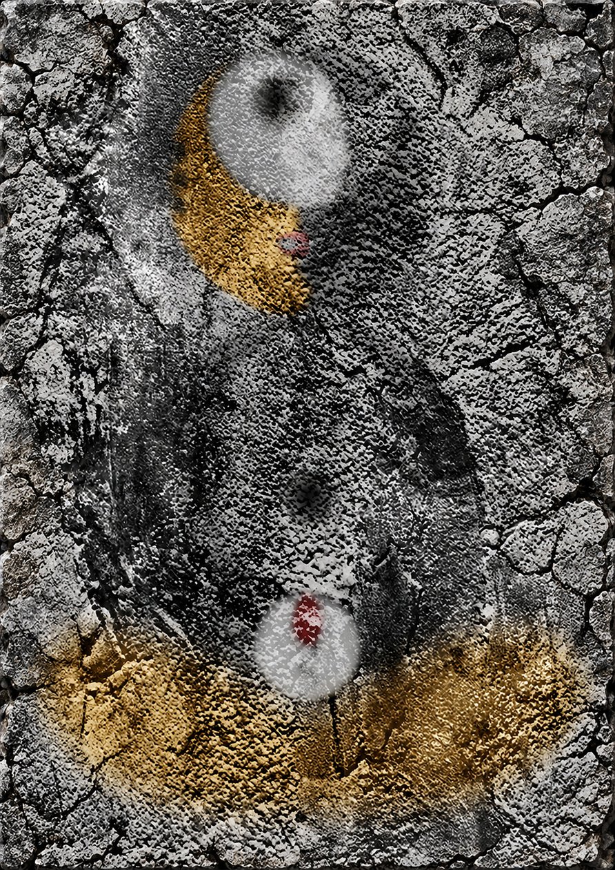Lascaux (Graffiti) von Alexander Eibach