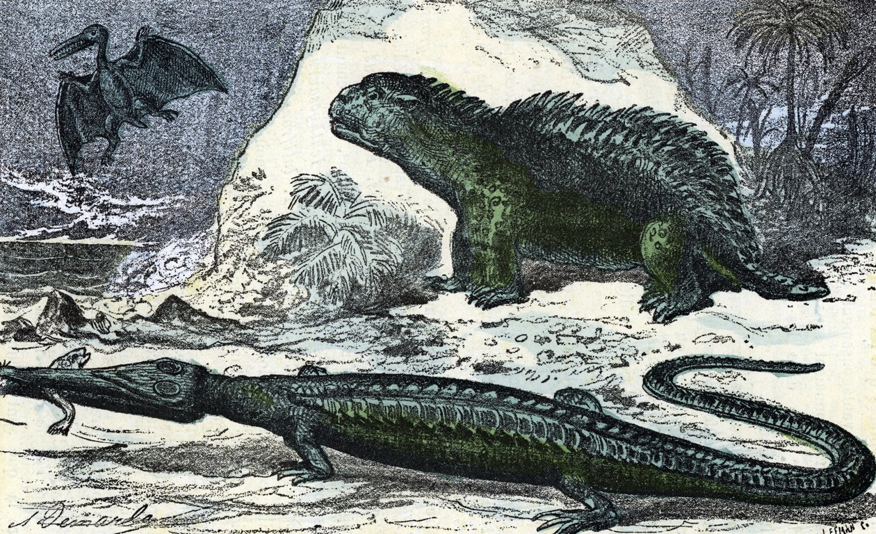 Prähistorie: Darstellung eines Teleosauriers und eines Hyleosauriers aus der Jurazeit (Gravur aus "Natur und Mensch" von Rengade) von A. Demarle