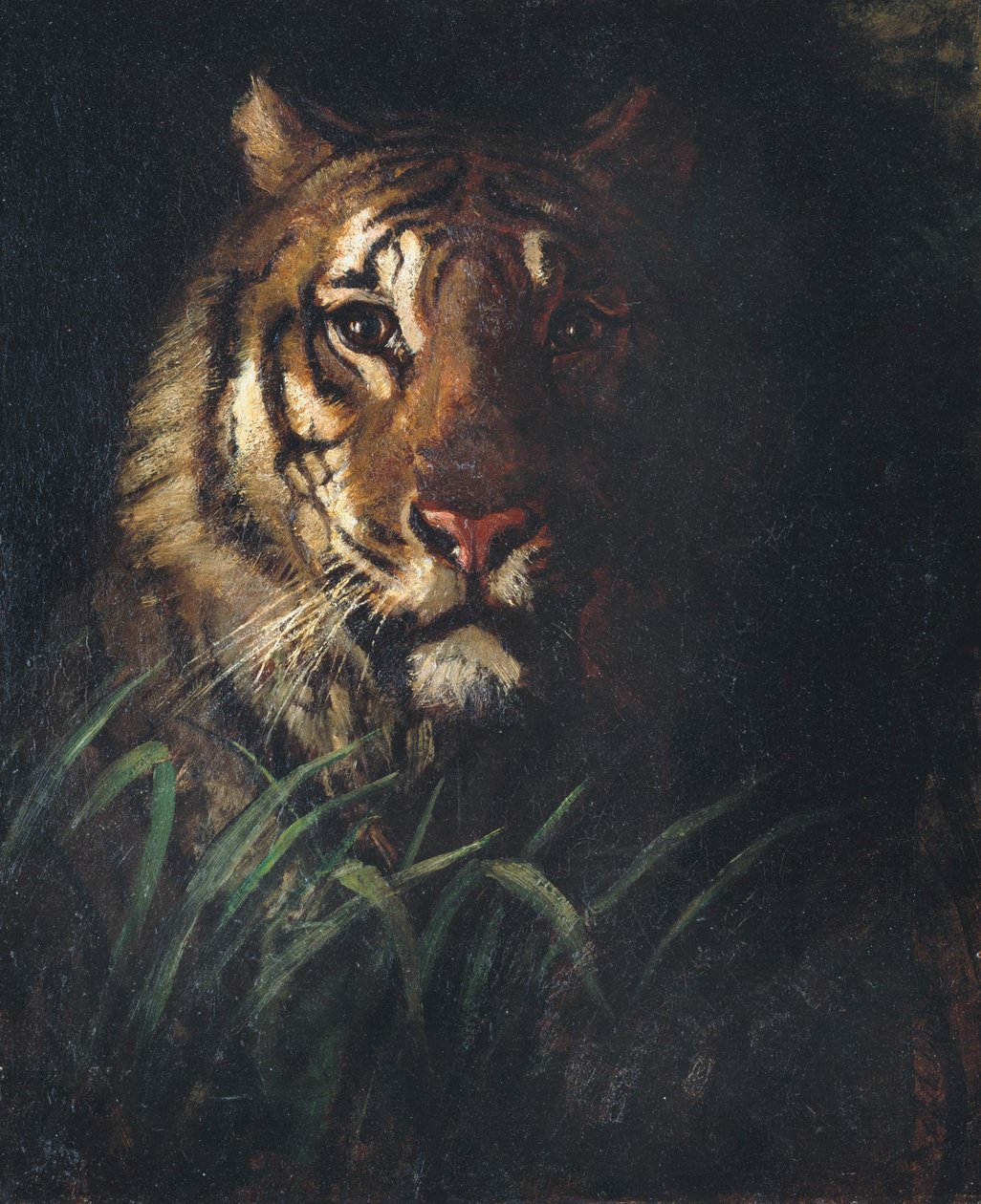 Tigerkopf von Abbott Handerson Thayer