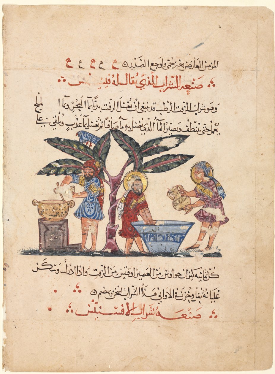 Folio aus einer arabischen Übersetzung der Materia Medica von Dioscorides, 1224 von Abdallah ibn al Fadl
