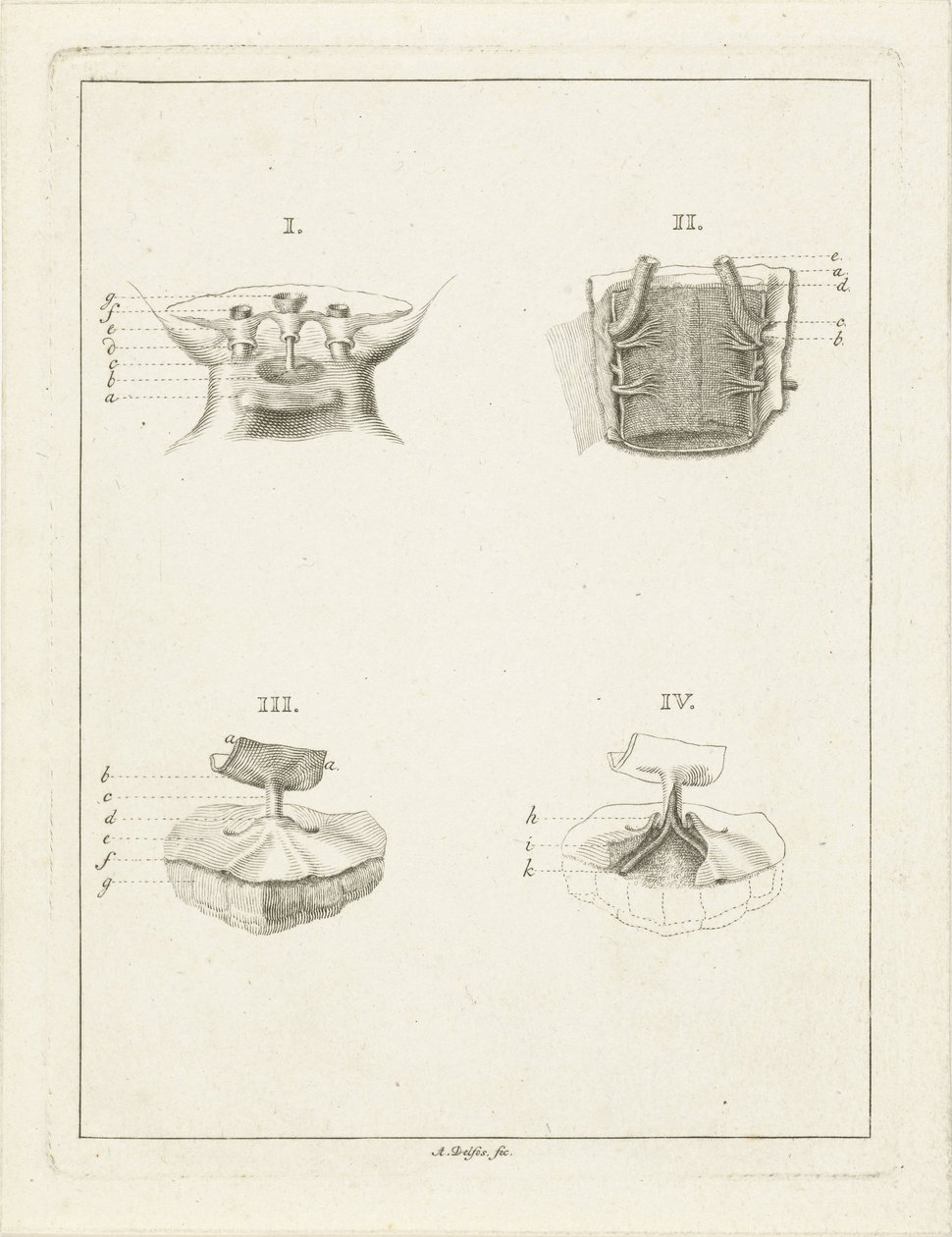 Durchschnitte von Pflanzen von Abraham Delfos