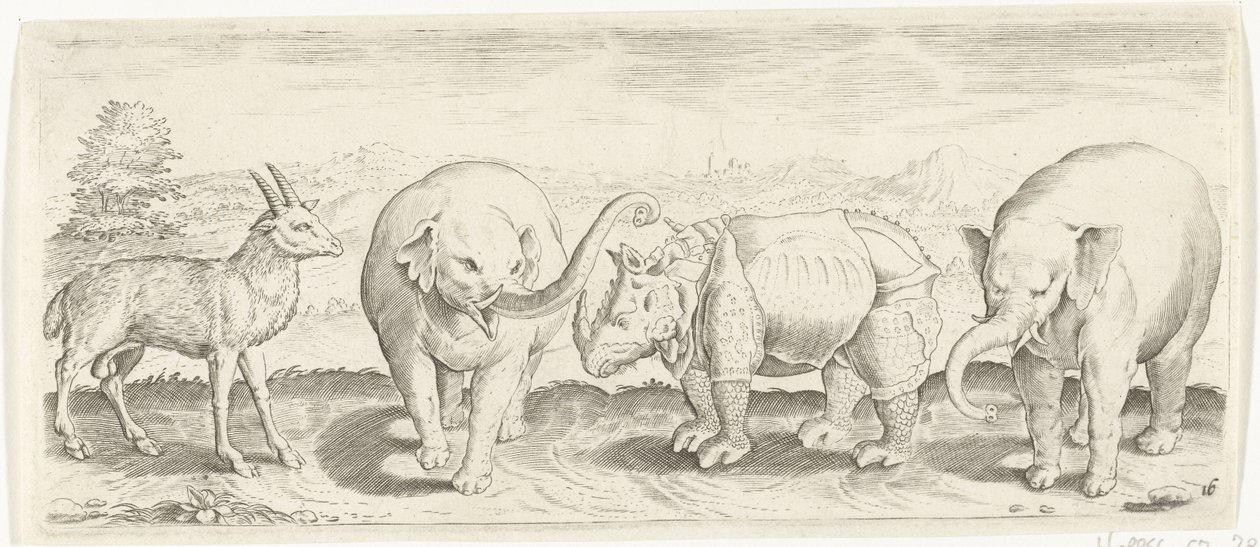 Gazelle, Elefant und Nashorn von Abraham de Bruyn (possibly)