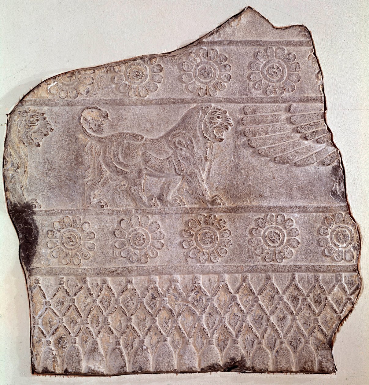 Fragment eines Flachreliefs, das einen gehenden Löwen darstellt. Aus Persepolis (Iran) Epoche Routenide, 460 v. Chr. Seattle, Kunstmuseum von Achaemenid