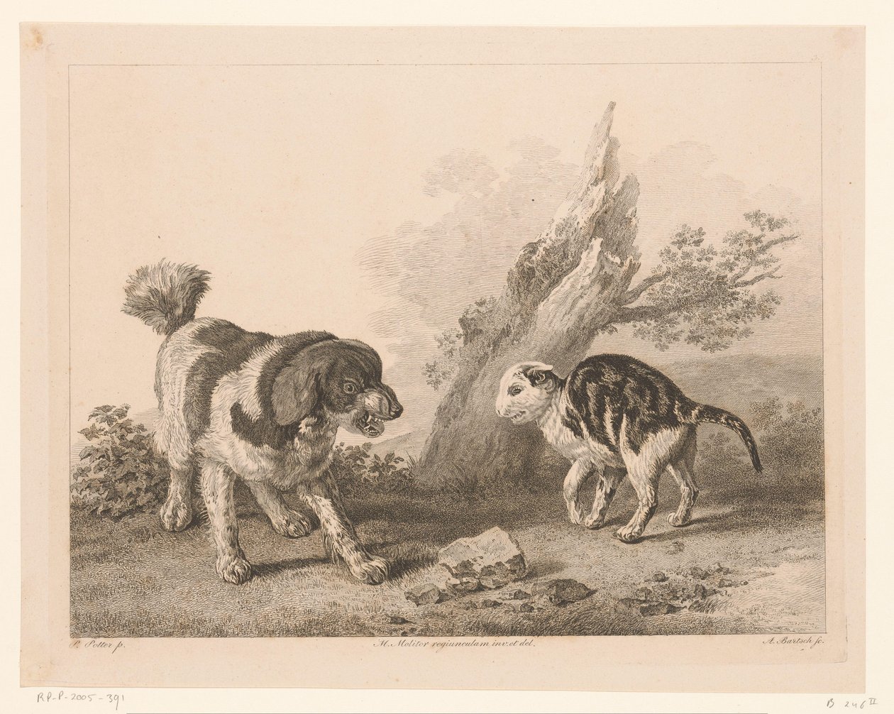 Hund und Katze in Kampfhaltung (Tiere nach Gemälden holländischer Meister) von Adam von Bartsch