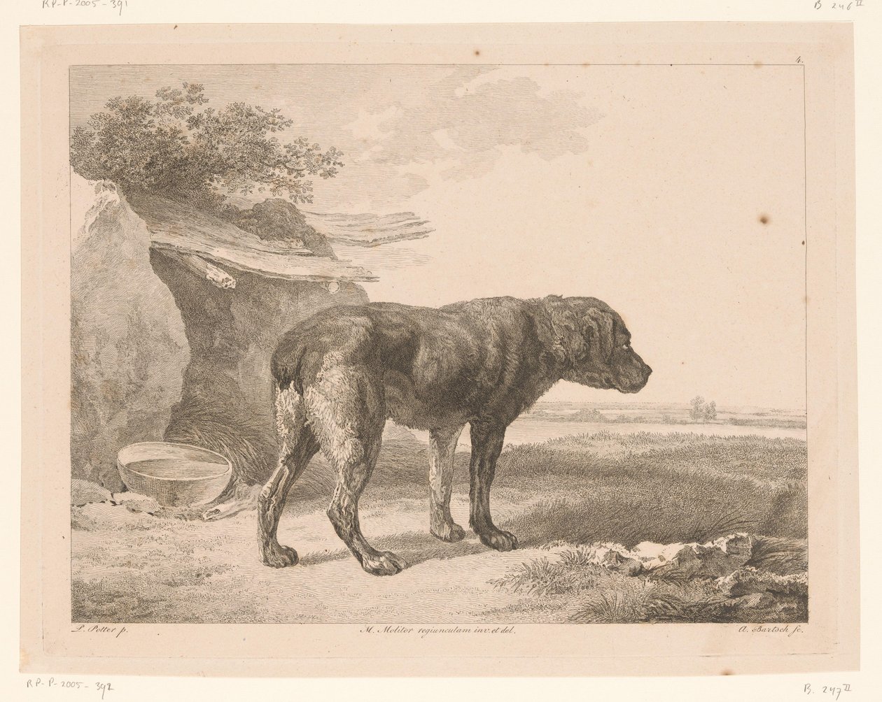 Stehender Hund in einer Landschaft von Adam von Bartsch