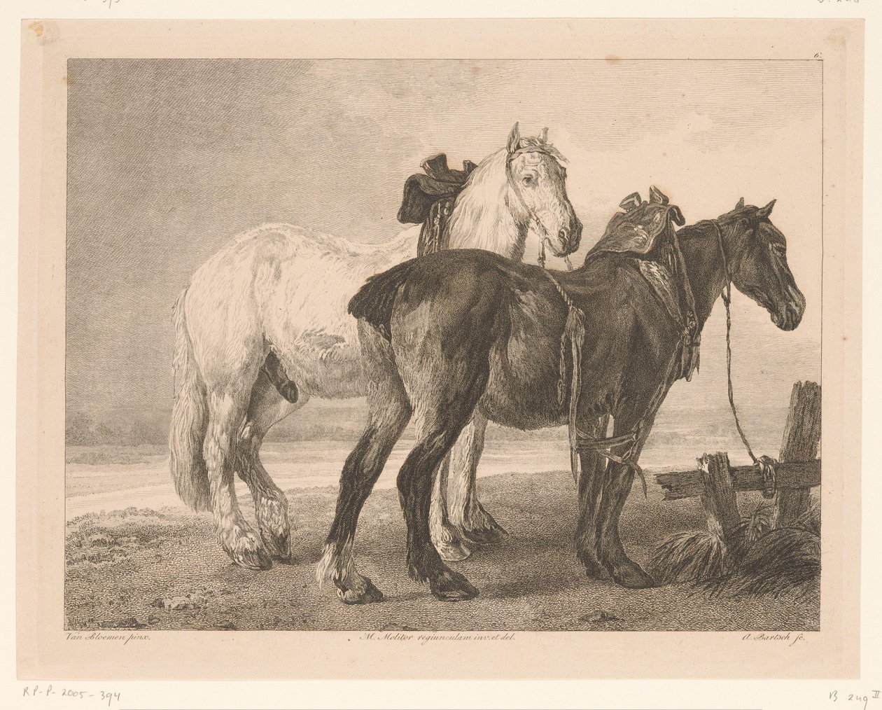 Zwei Pferde in Flusslandschaft von Adam von Bartsch