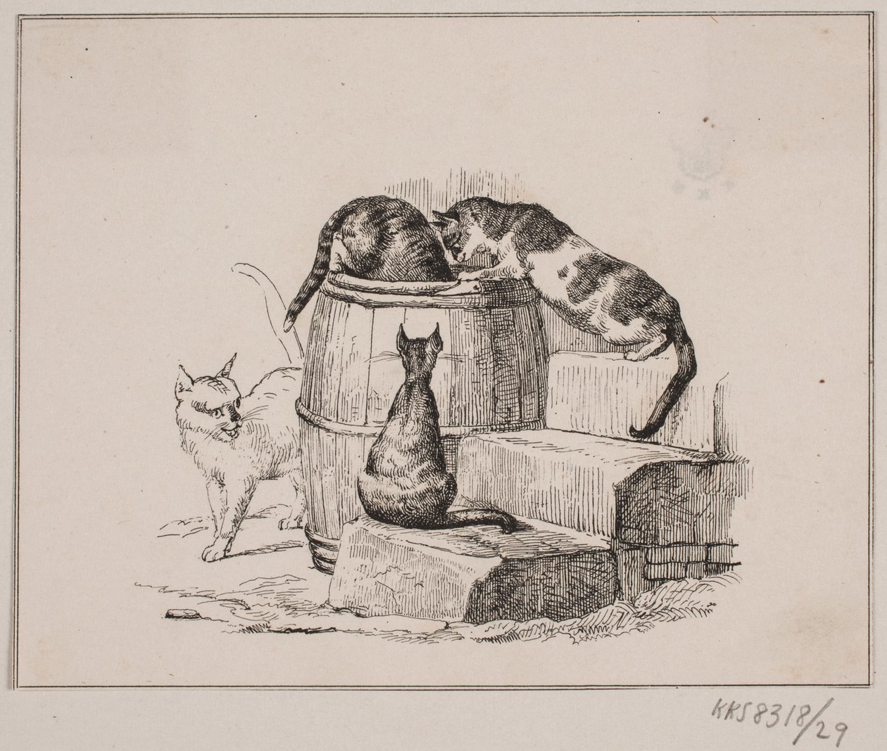 Die Katzen von Johan Adolph Kittendorff
