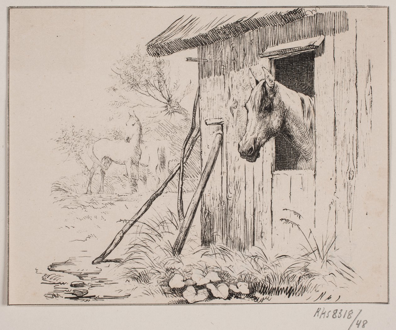 Das Mühlenpferd von Johan Adolph Kittendorff