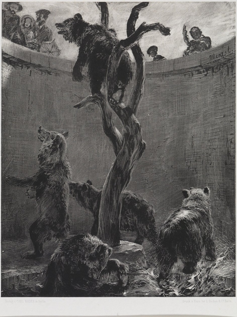 Der Bärenzwinger im Zoologischen Garten von Adolph Menzel