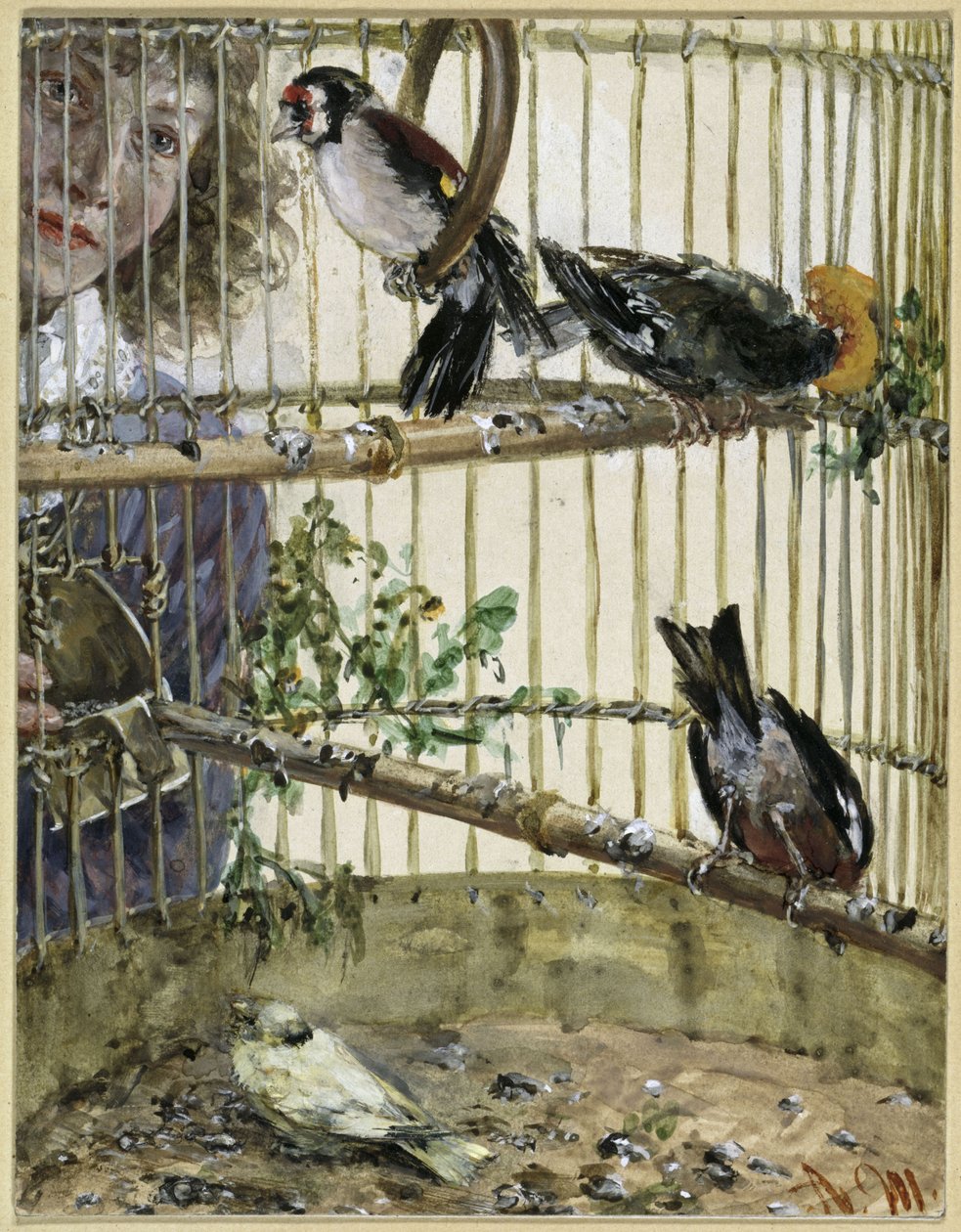 Die Distelfinken und der Kanarienvogel im Bauer. Aus dem "Kinderalbum" von Adolph Menzel