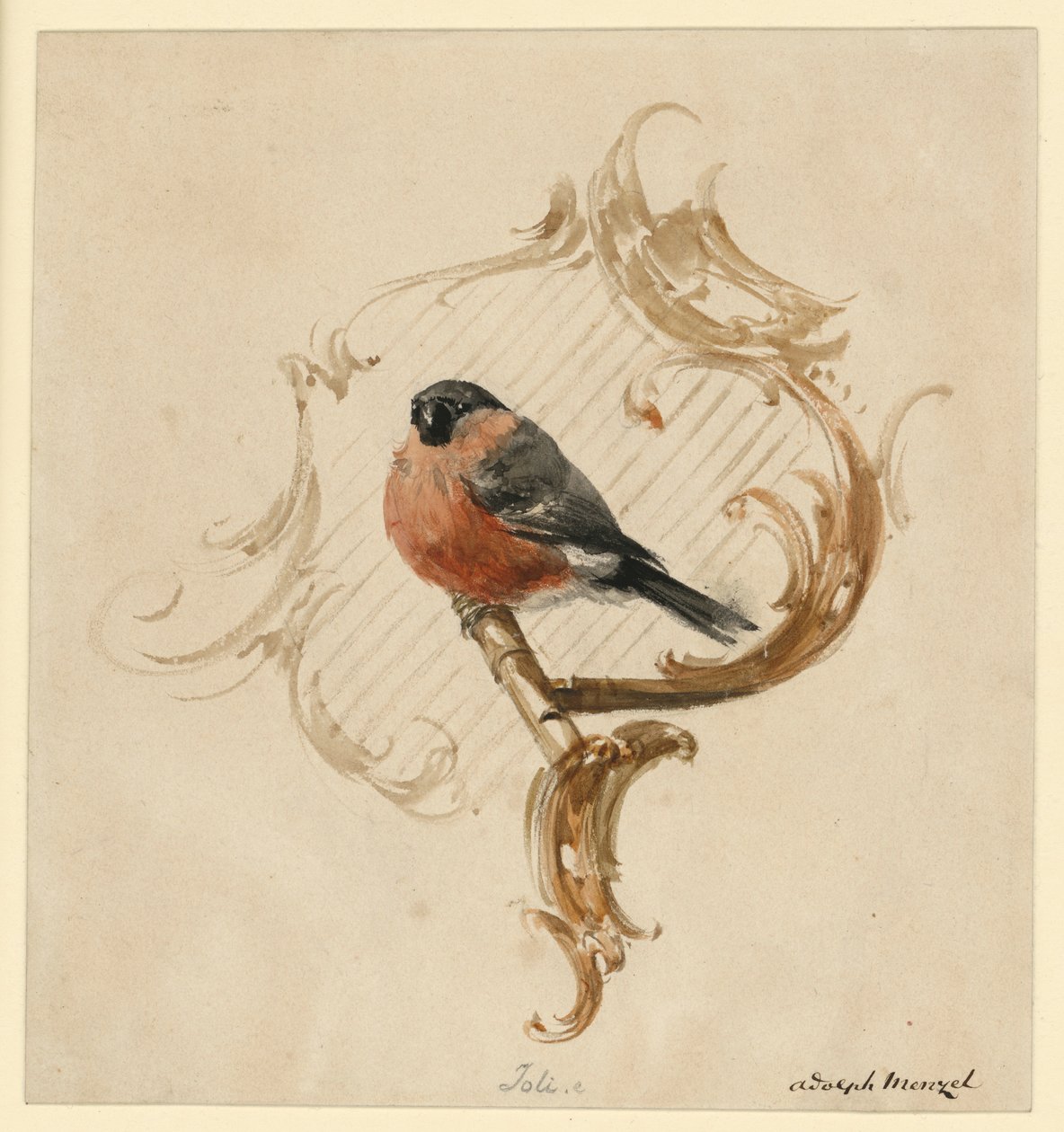 Ein Dompfaff auf der Stange vor Rocaille von Adolph Menzel