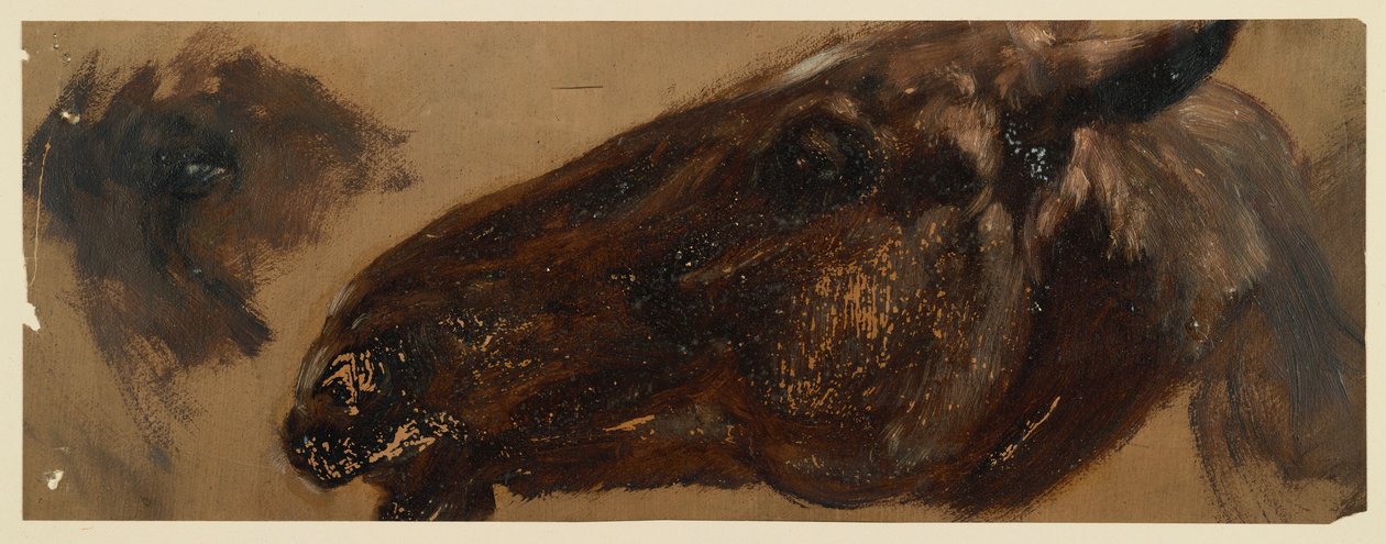 Kopf eines Pferdes nach links, Augenpartie wiederholt von Adolph Menzel