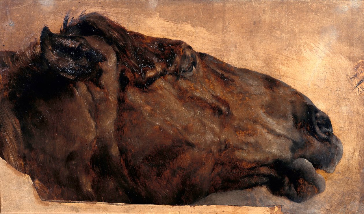 Pferdestudie. Kopf in Seitenansicht nach rechts von Adolph Menzel
