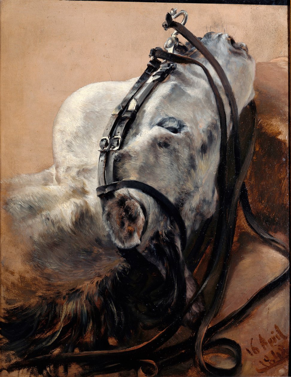 Pferdestudie. Kopf liegend, im Geschirr von Adolph Menzel