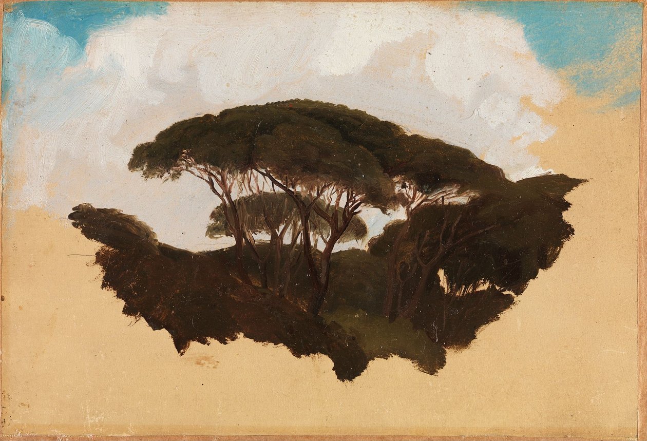 Studie von Pinien von Adolph Tidemand