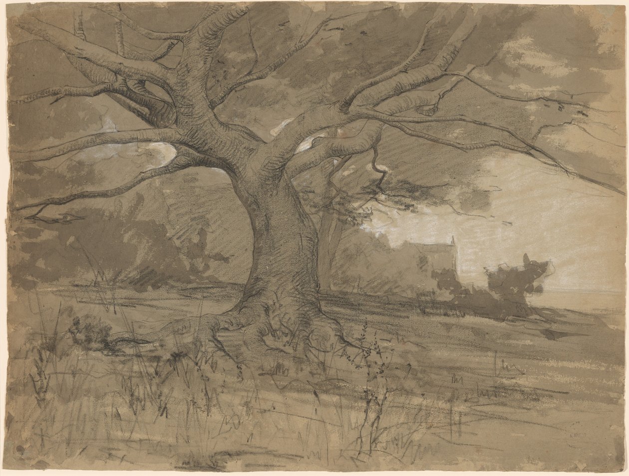 Eine große Buche am Waldrand von Adolphe Appian